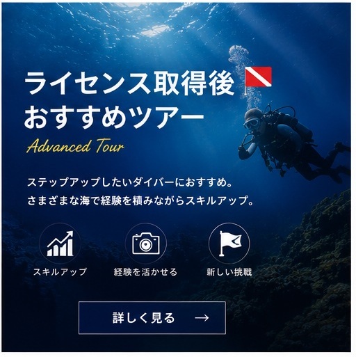 ライセンス取得後おすすめダイビングツアー